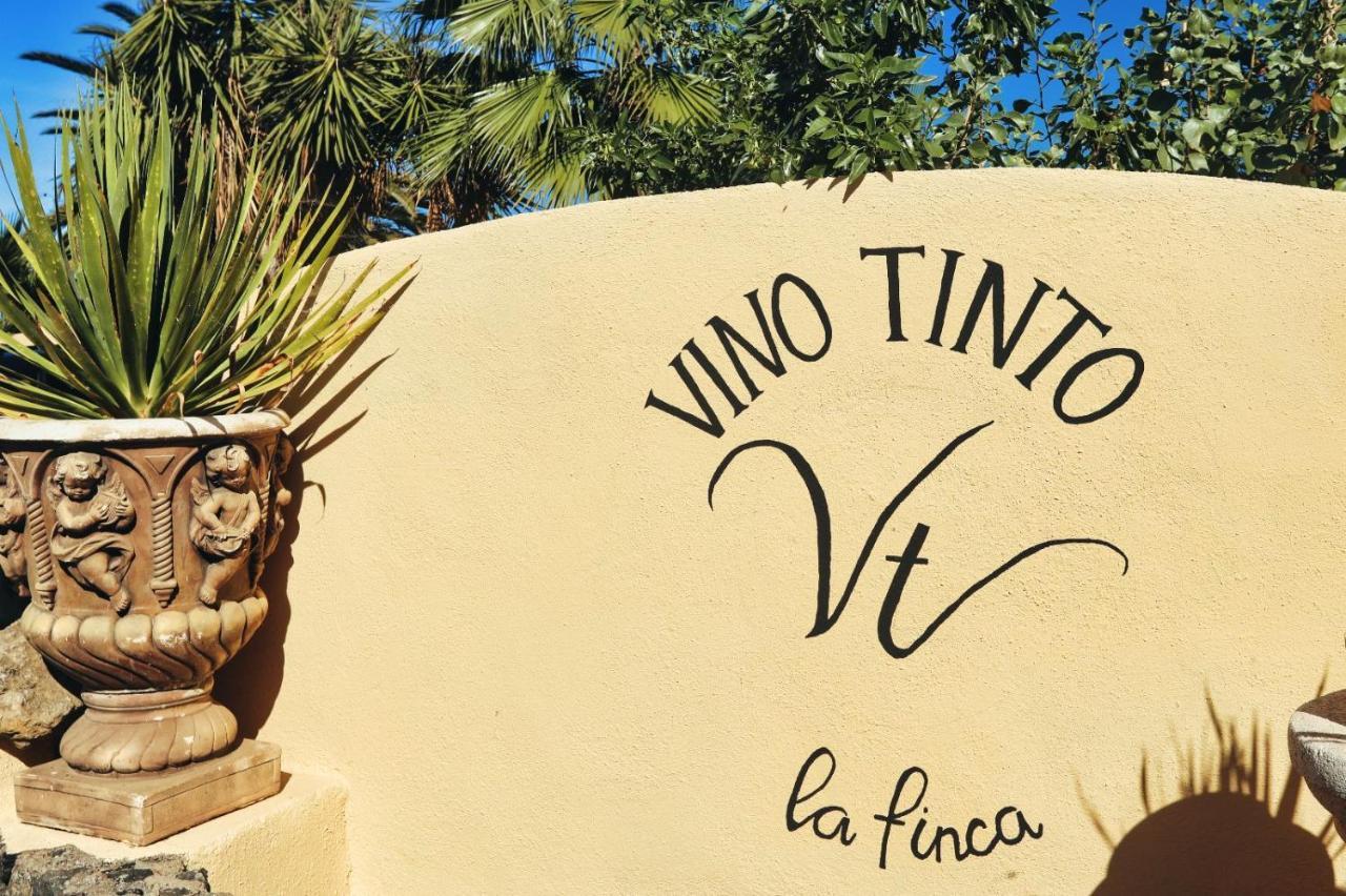Finca Vino Tinto 5S Icod De Los Vinos Ngoại thất bức ảnh